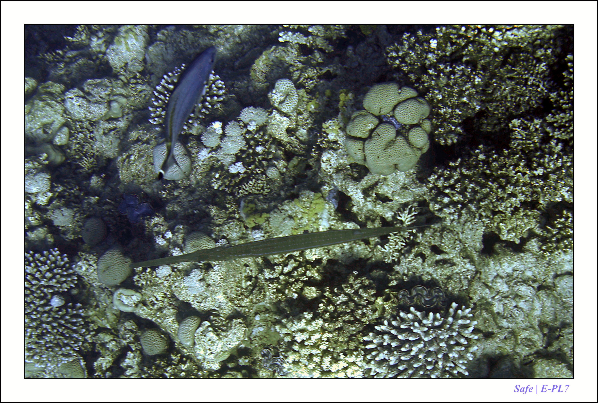 2023 - 03 - Charm El Sheikh - 45